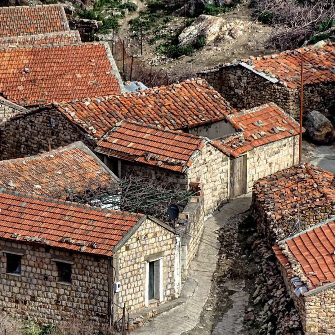 Traditional old Kabyle homes